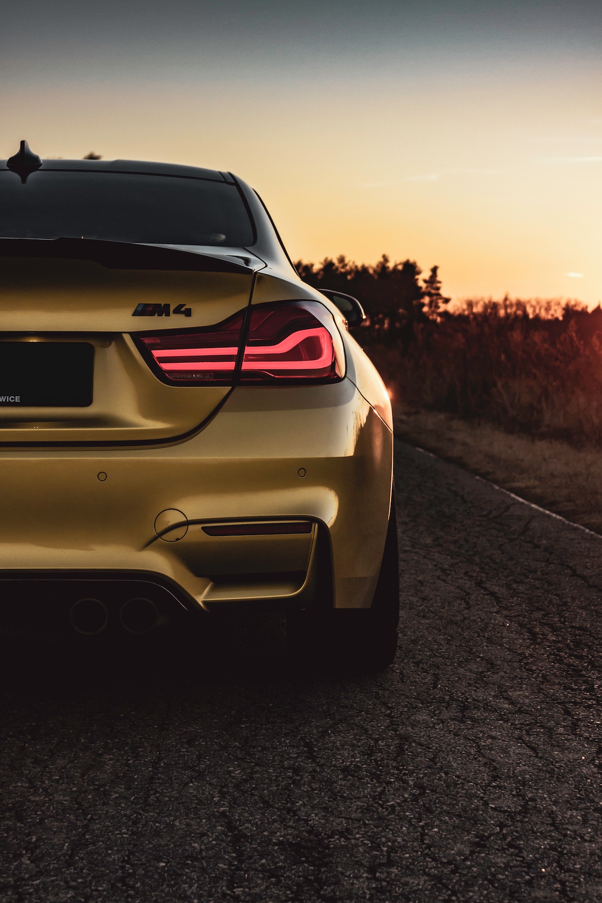 BMW M4 Coupé davs0