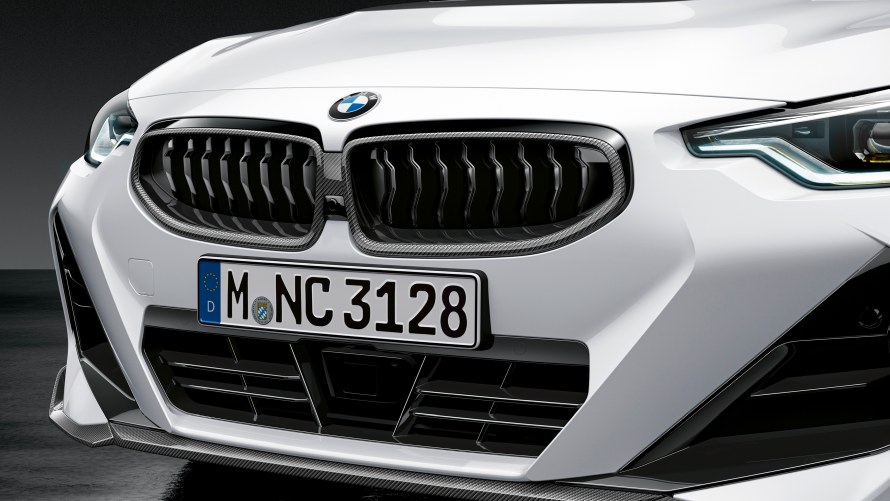 M Performance Frontziergitter Carbon
