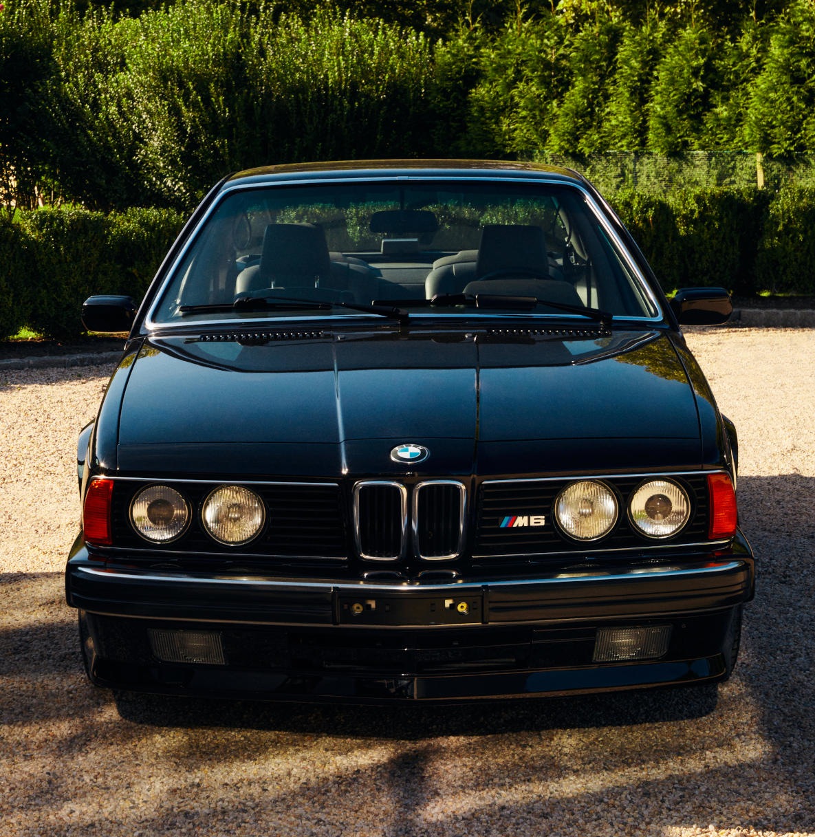BMW E24 M6 
