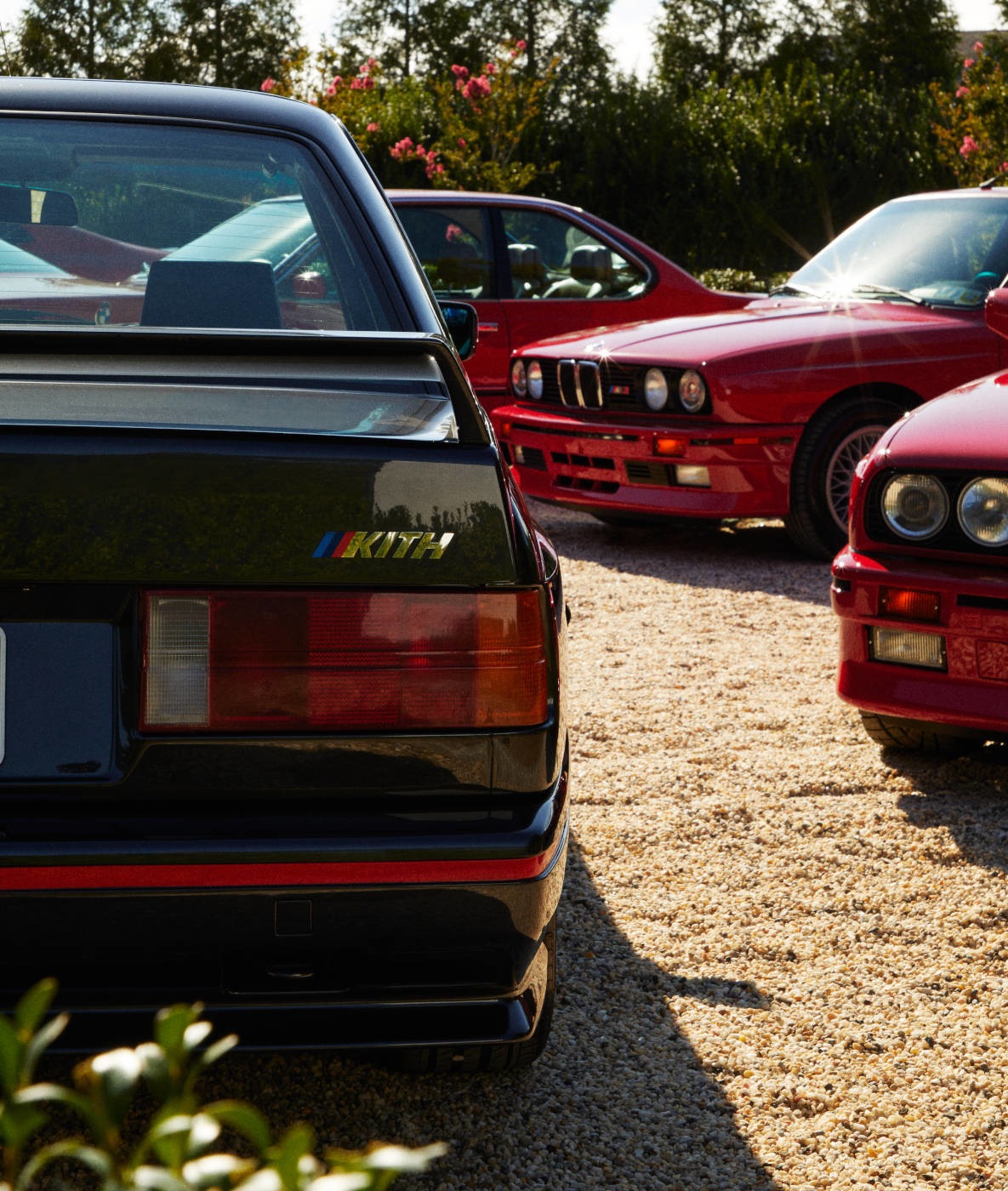 Ronnie Fieg's M Car Collection