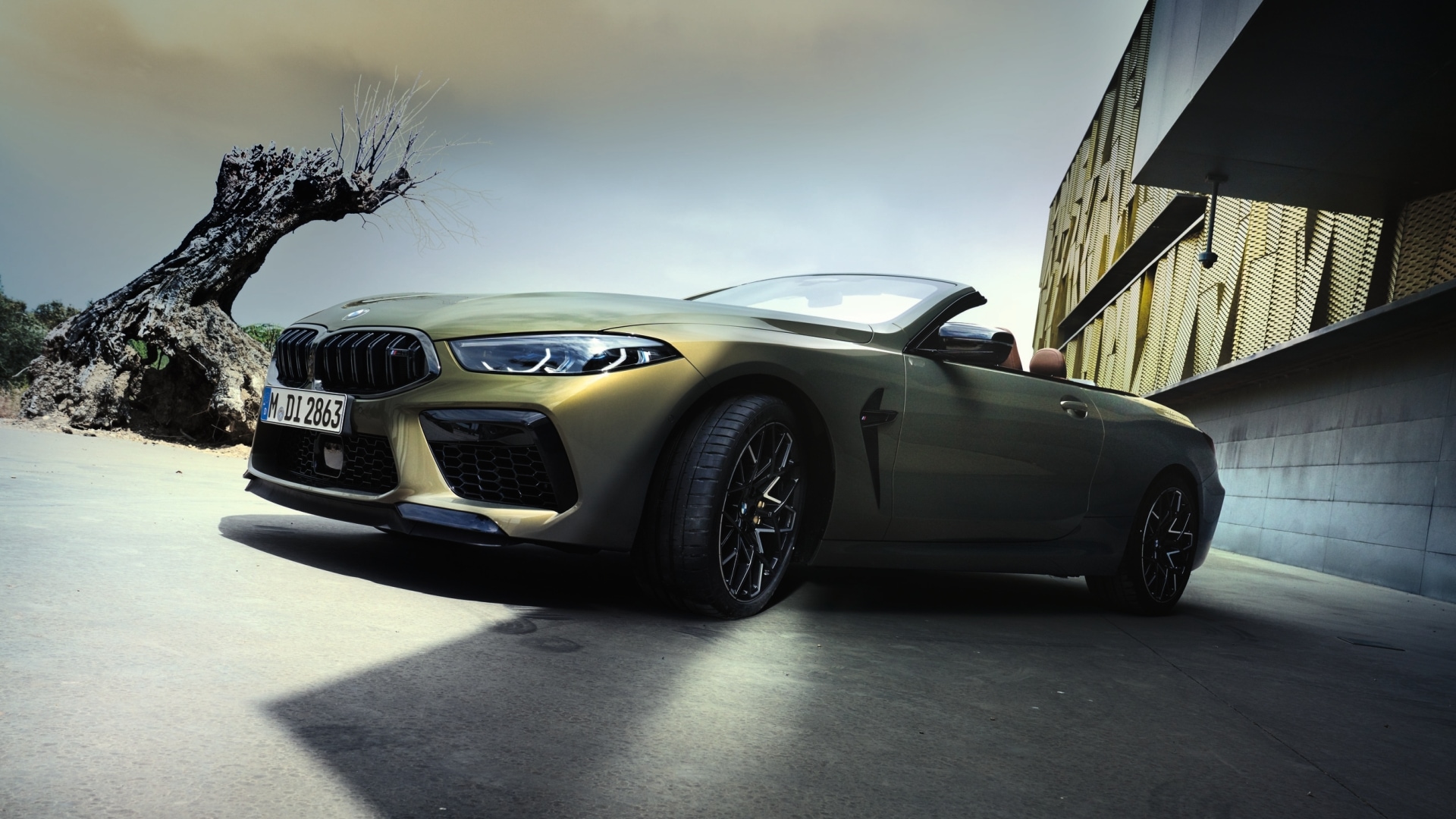 THE M8