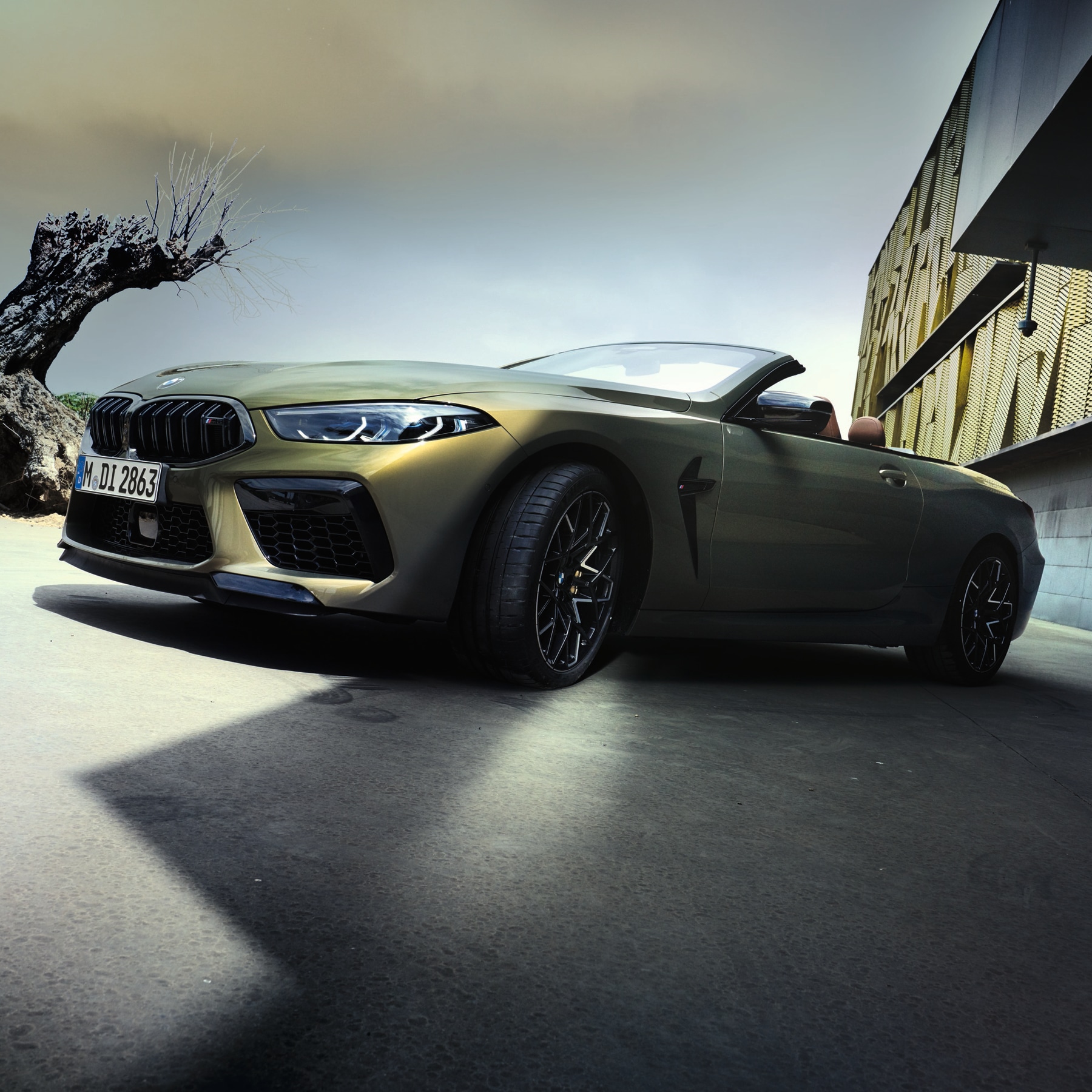 The BMW M8 Convertible F91.