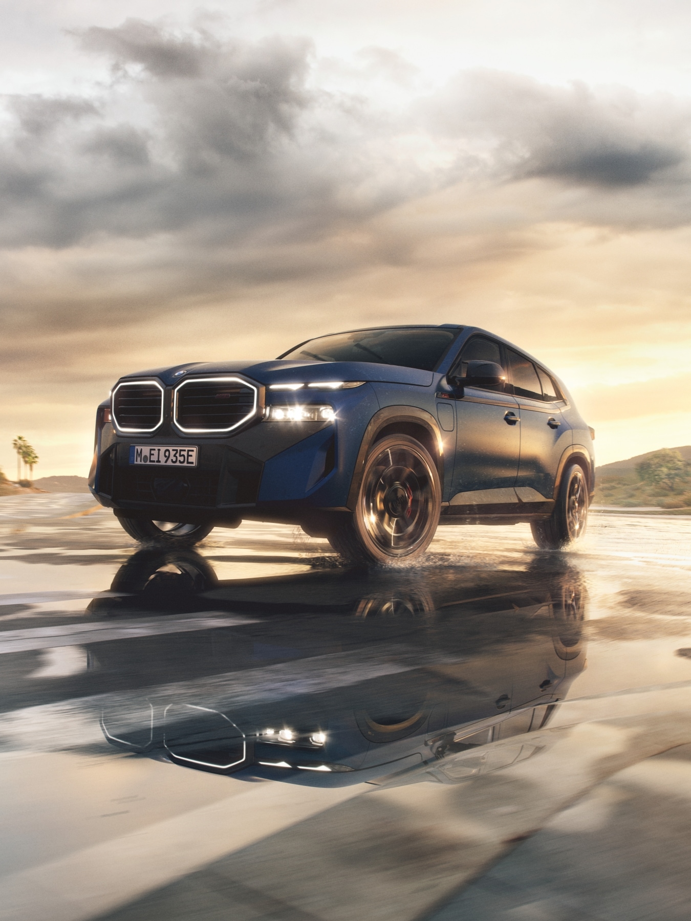 BMW XM Label