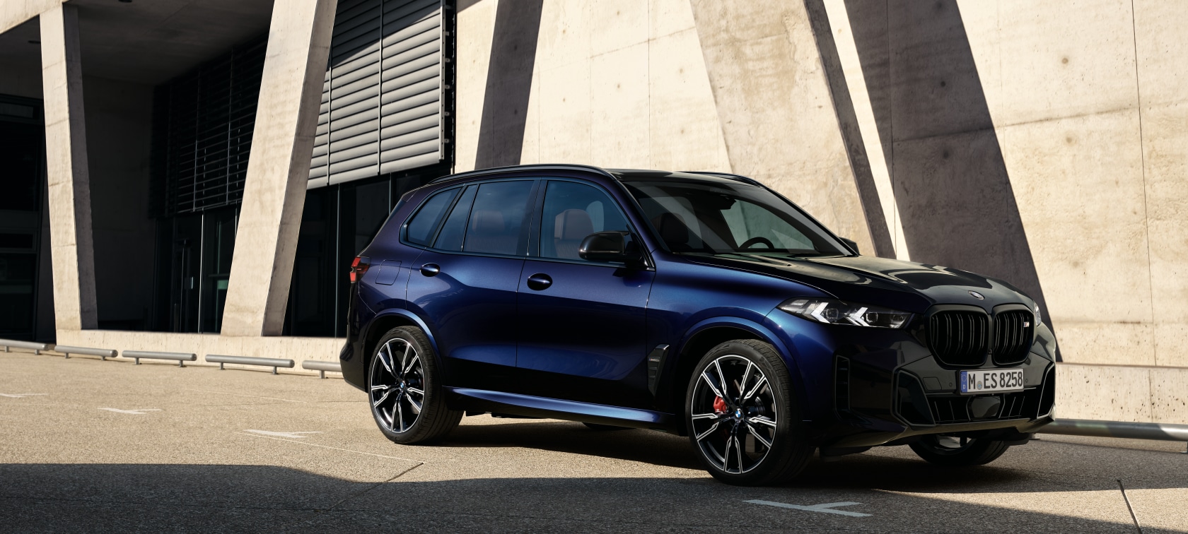 THE X5