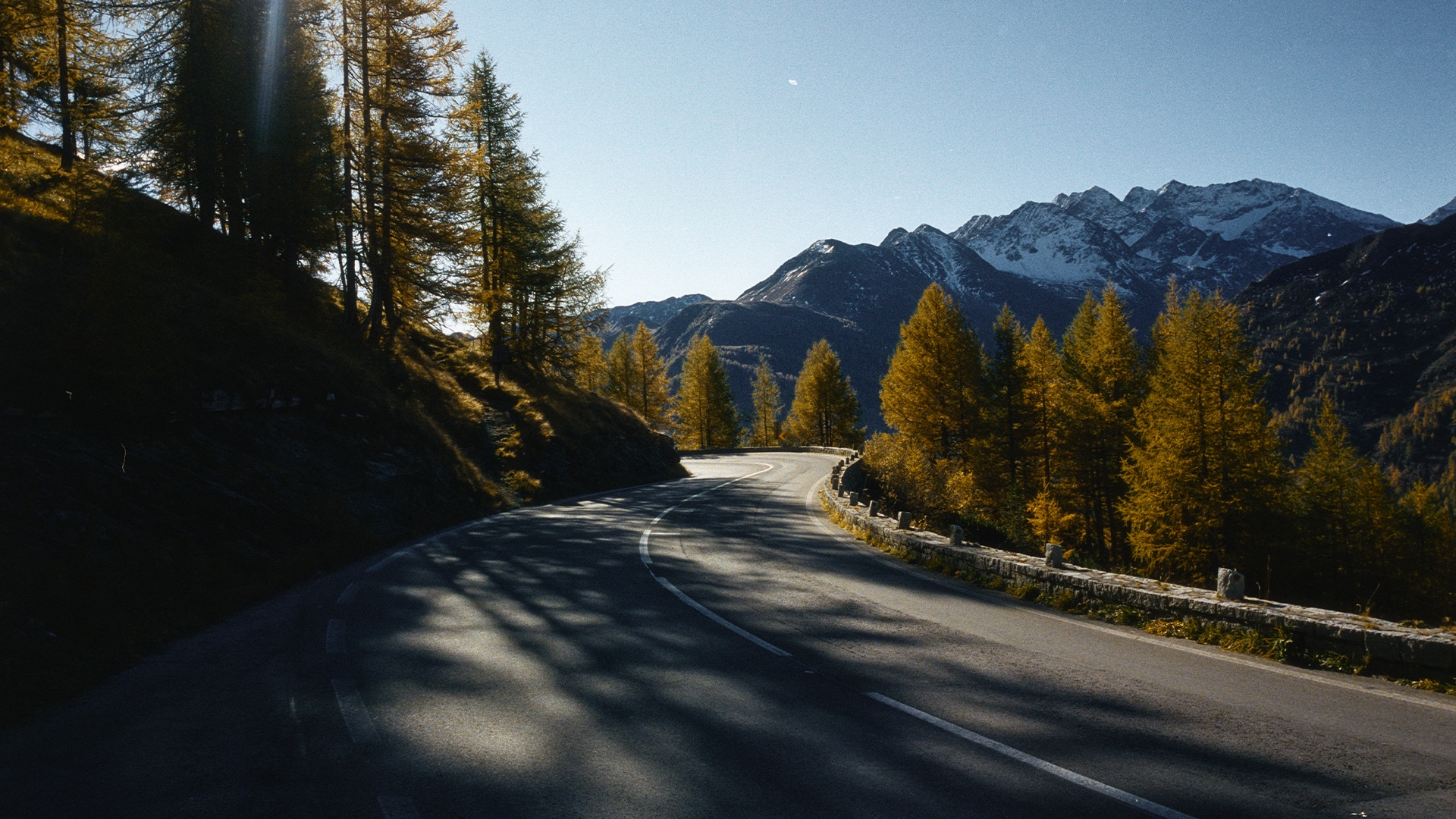 Eine kurvenreiche Bergstraße führt durch eine malerische Alpenlandschaft. Goldene Lärchenbäume mit herbstlichem Laub säumen beide Seiten der leeren Asphaltstraße. Im Hintergrund erheben sich schneebedeckte Berggipfel gegen einen klaren blauen Himmel. Sonnenlicht wirft Schatten auf die Straßenoberfläche.