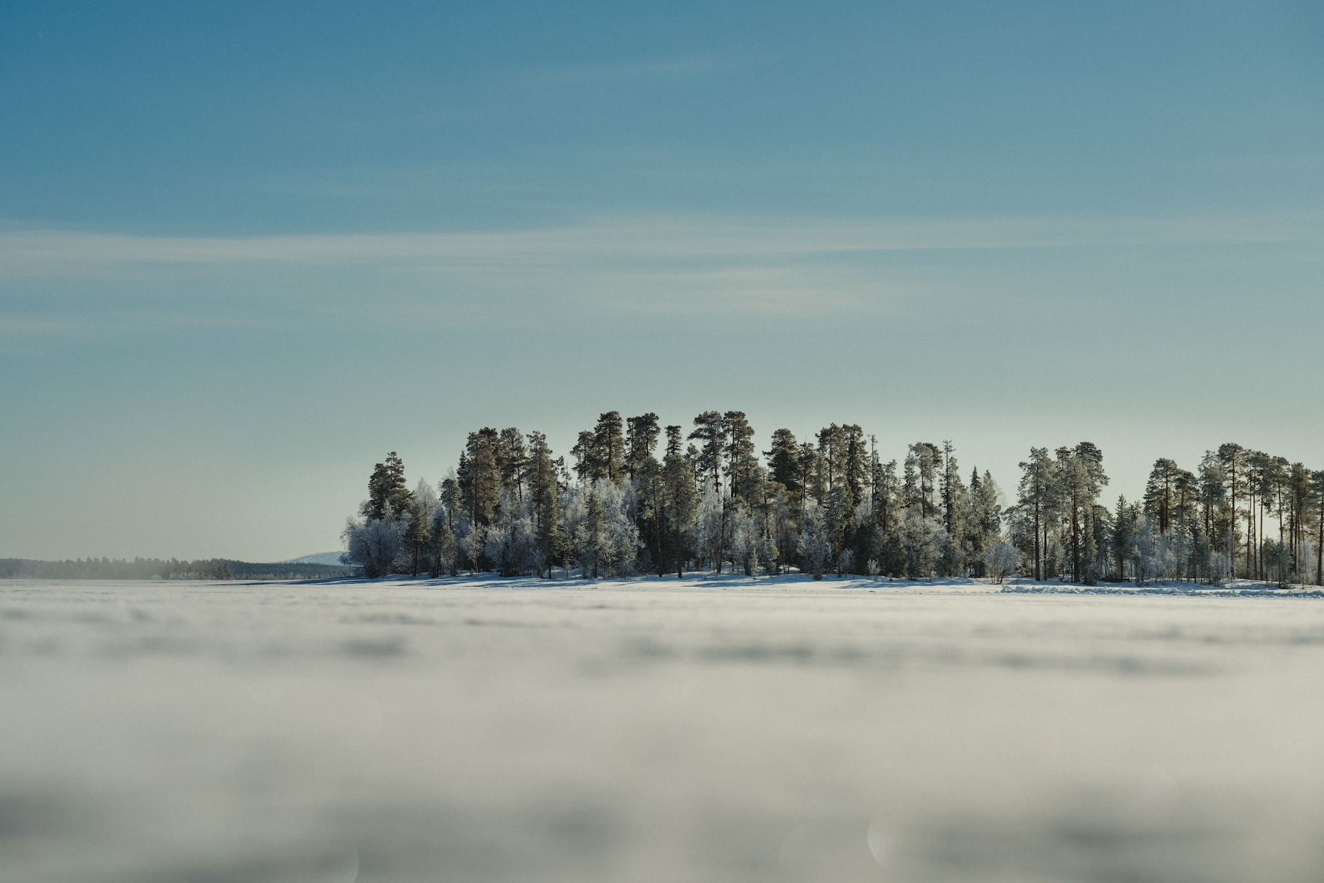 Ein gefrorener See mit schneebedecktem Ufer im Vordergrund. Ein dichter Wald aus Nadelbäumen säumt das gegenüberliegende Ufer, ihre Äste mit Reif bedeckt. Klarer blauer Himmel oben mit minimalen Wolken.
