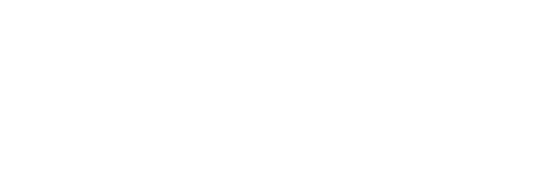 BMW M4 GT3 EVO Abmessungen