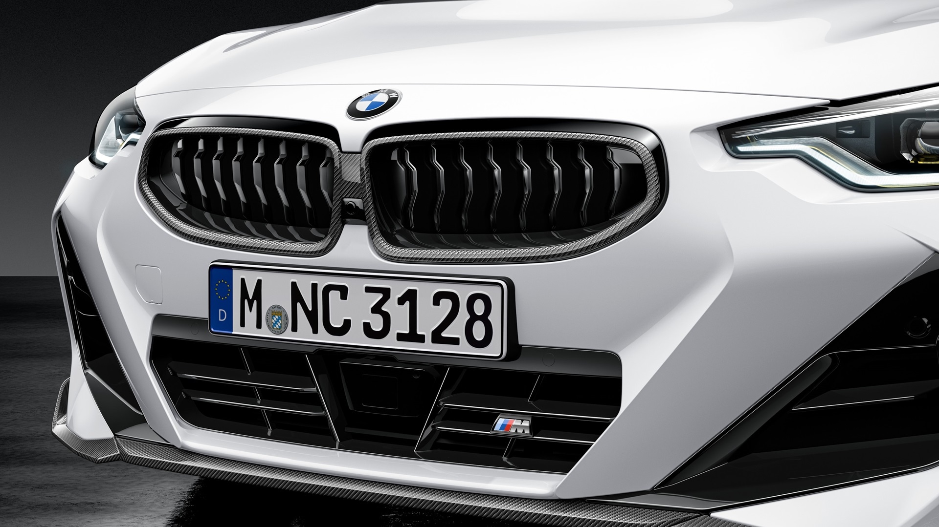 M Performance Frontziergitter Carbon