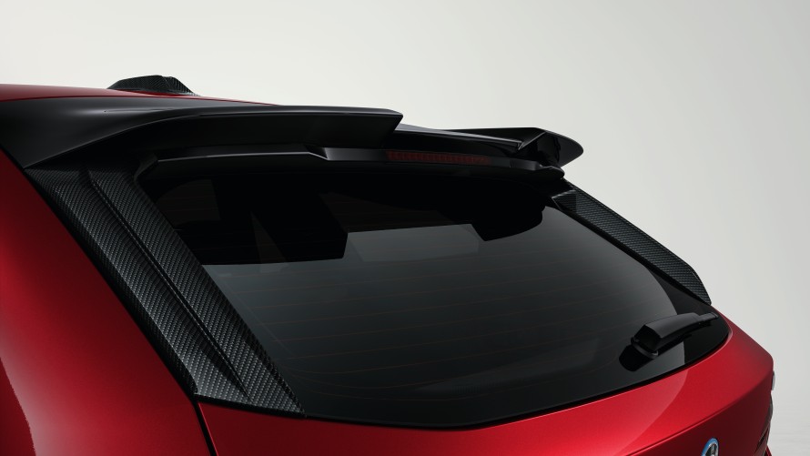 M Performance rear fin carbon fiber