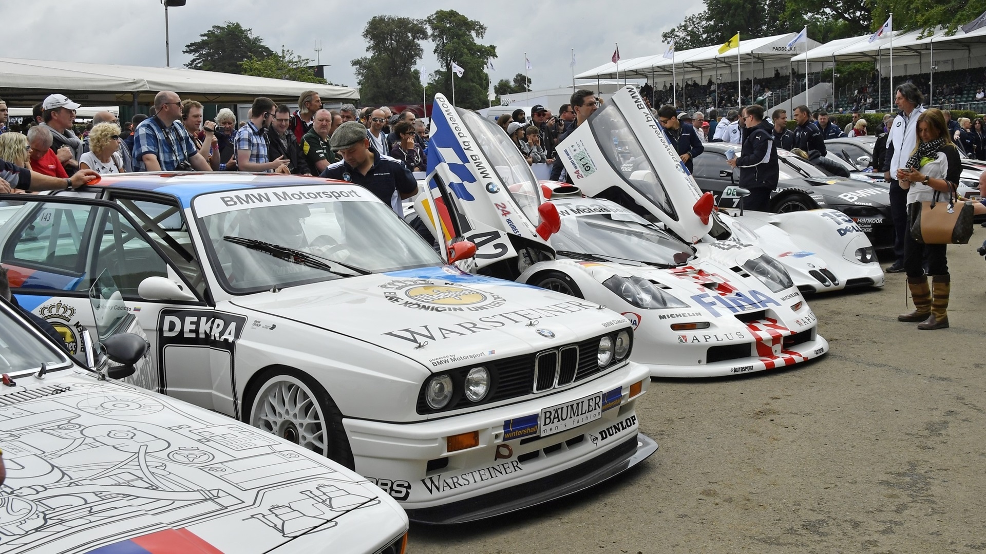 They could even touch these BMW M classic cars at the 2016 Festival of Speed.