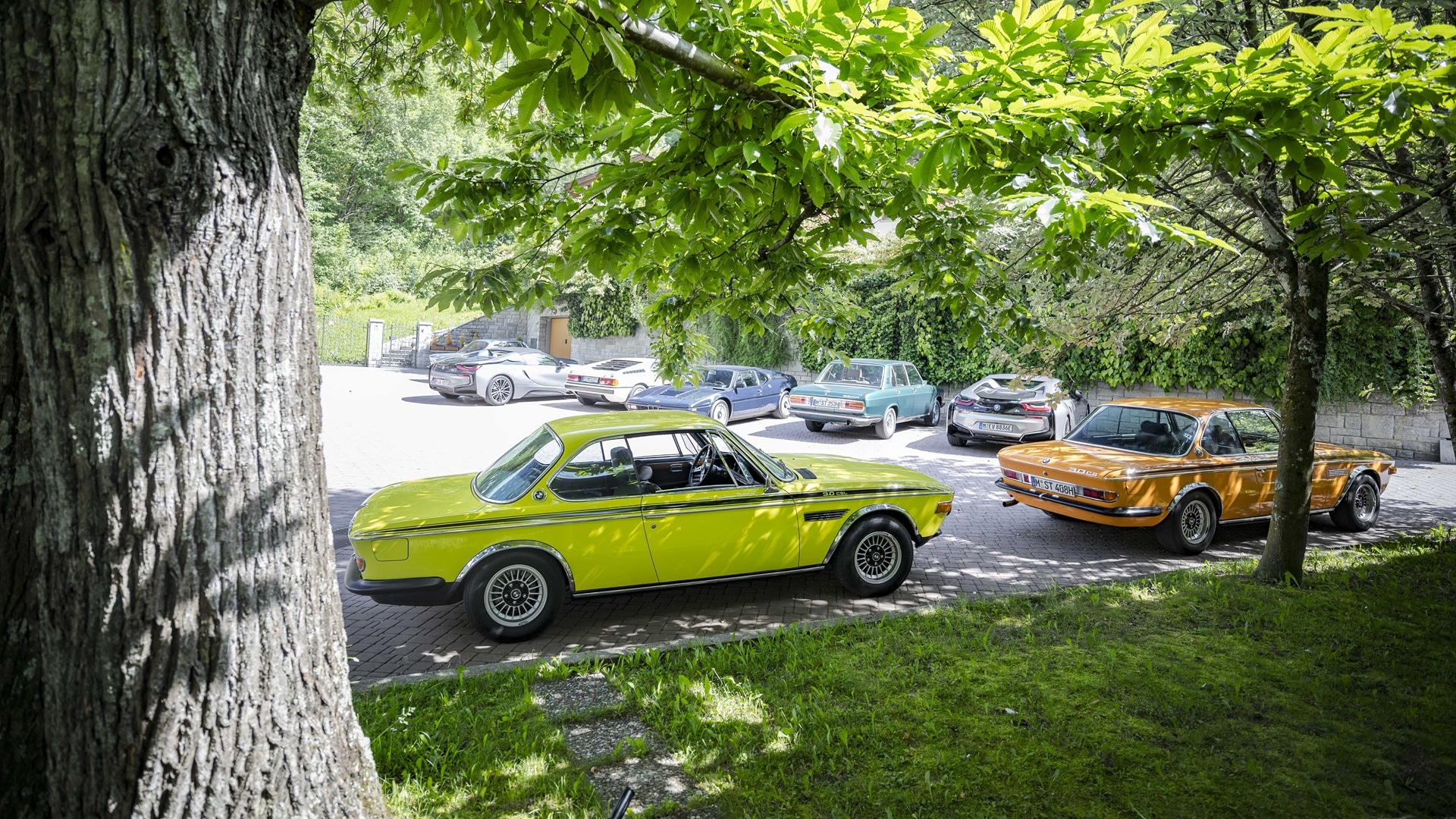 Cars