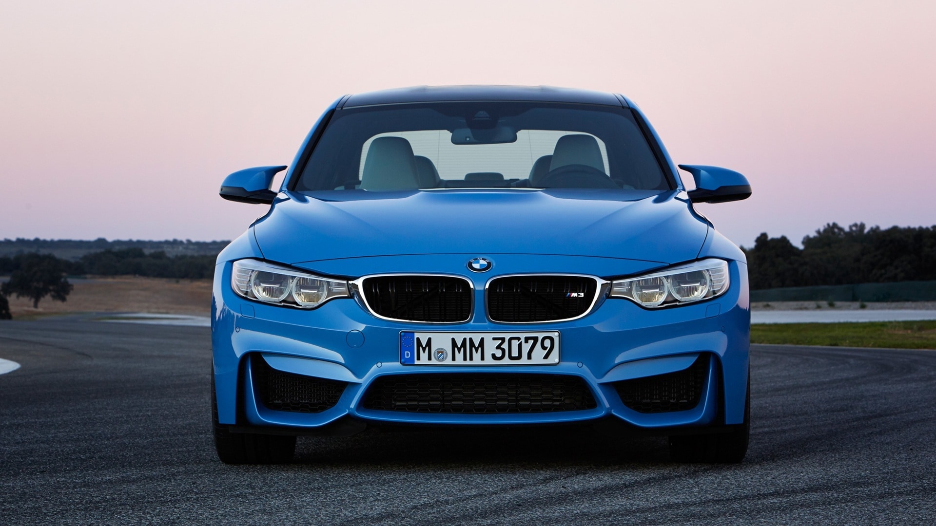 Breit gestreckte Doppelniere beim BMW M3 F80 von 2014.